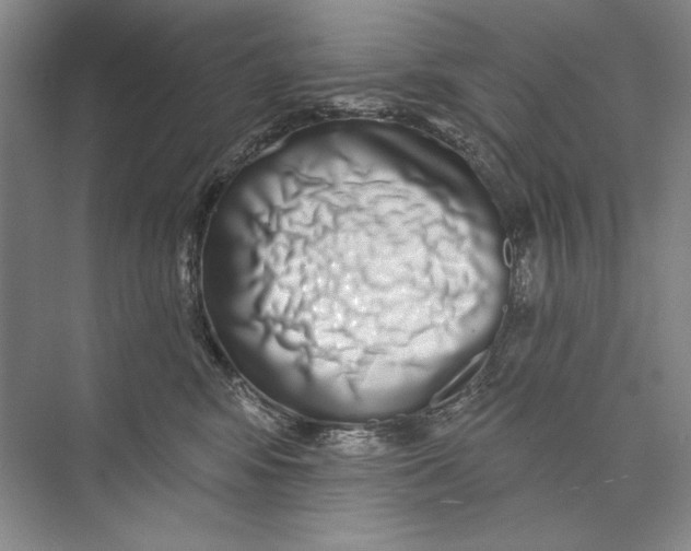 X0000074280424200609222248