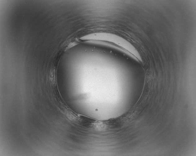 X0000074280425200609222248
