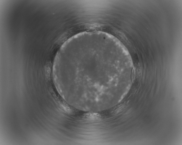 X0000074280427200609222248