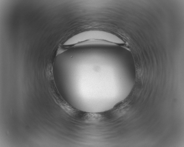 X0000074280429200609222248