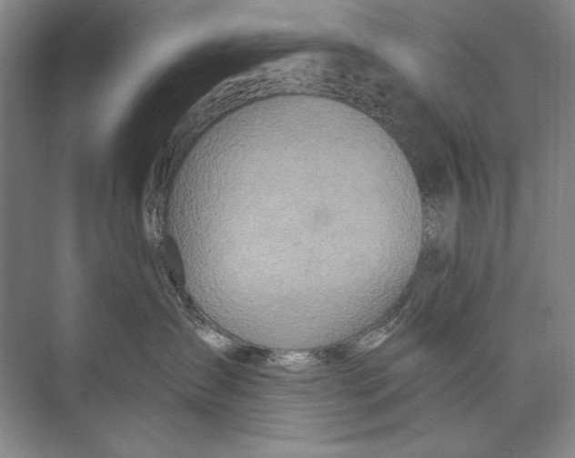 X0000074280431200609222248