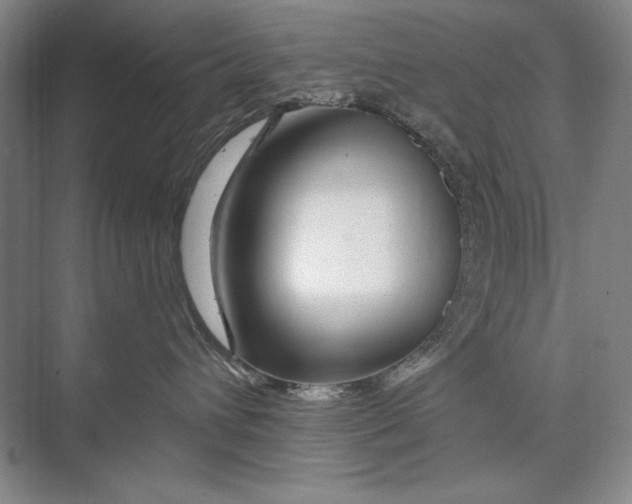 X0000074280432200609222248