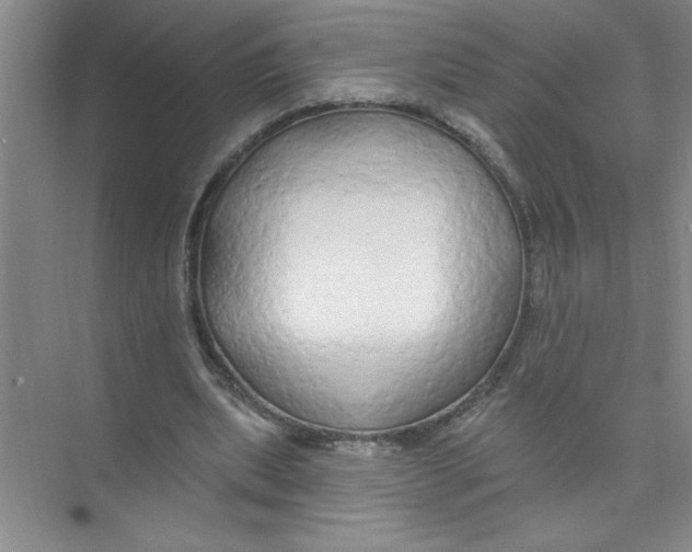 X0000074280439200609222247
