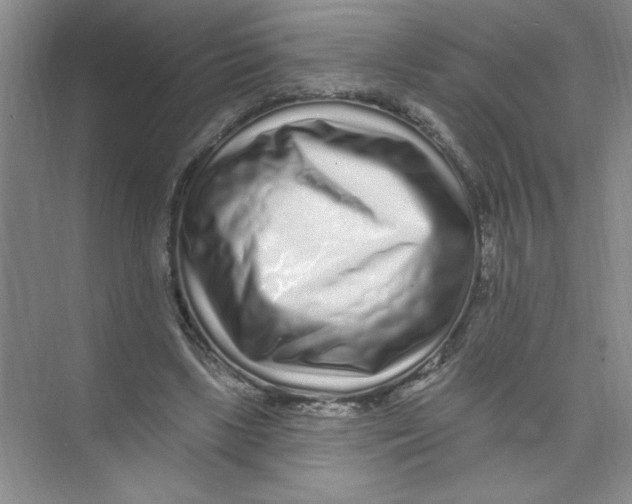 X0000074280443200609222247