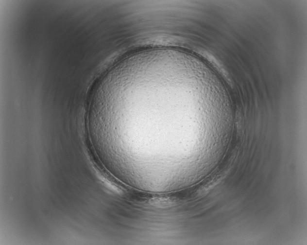 X0000074280445200609222247