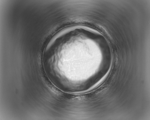 X0000074280447200609222247