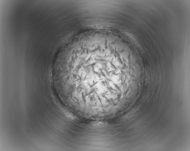 X0000074280453200609222247
