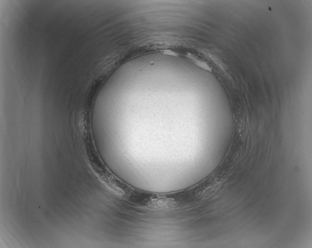 X0000074280455200609222247