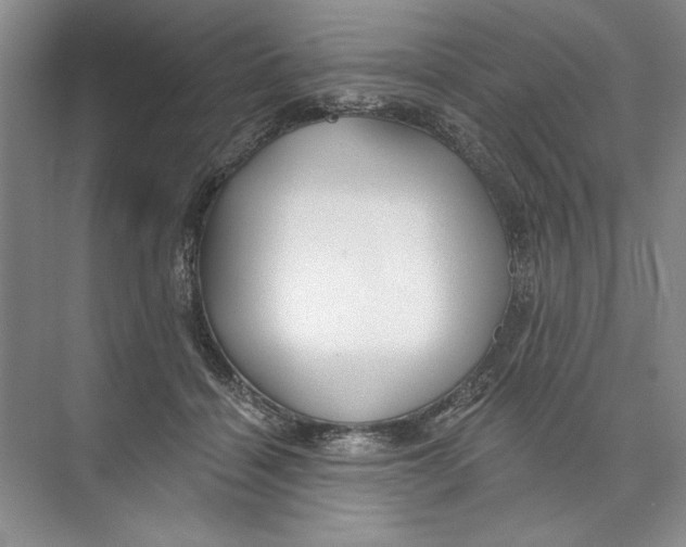 X0000074280460200609222248