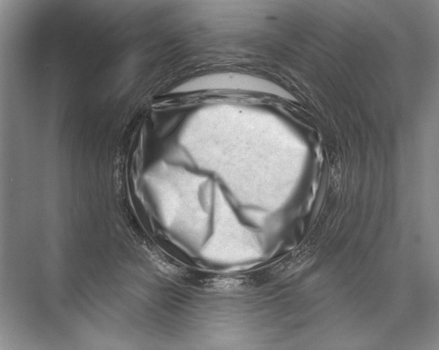 X0000074280462200609222248