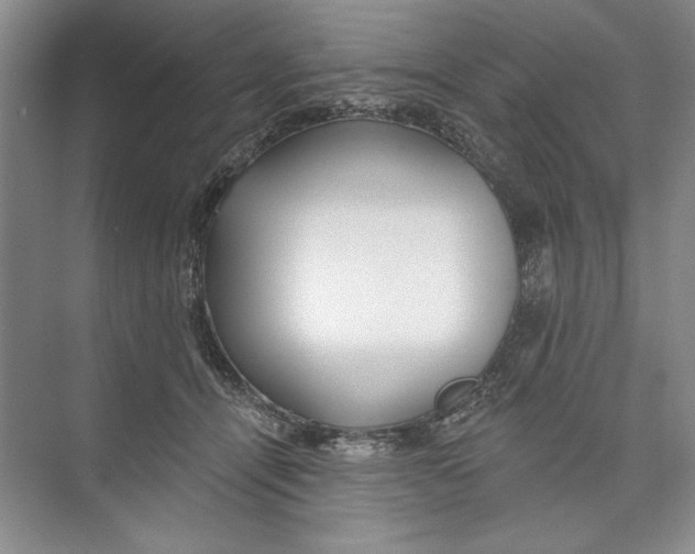 X0000074280464200609222248