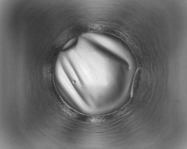 X0000074280466200609222248