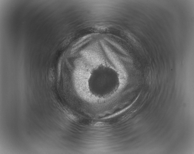X0000074280467200609222248
