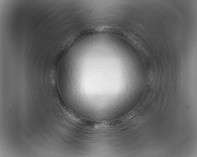 X0000074280470200609222248