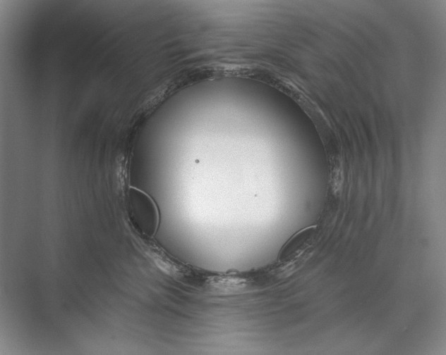 X0000074280476200609222248