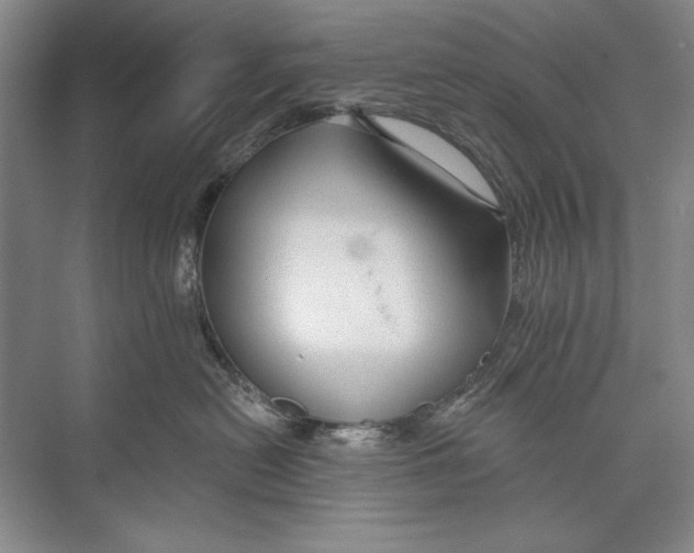 X0000074280478200609222248