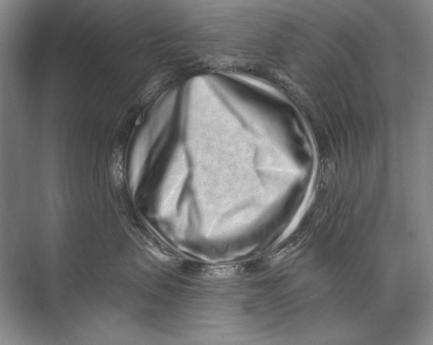 X0000074280479200609222248