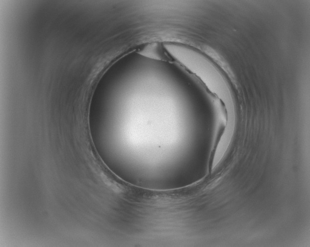 X0000074280481200609222247