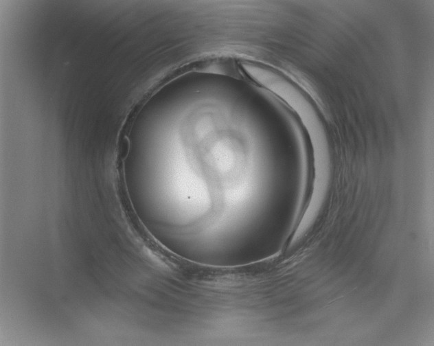X0000074280485200609222247