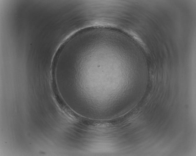 X0000074280488200609222247