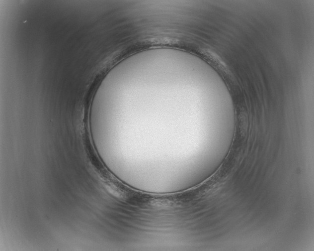 X0000074280490200609222247