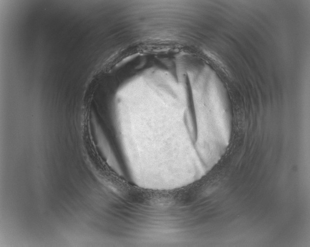 X0000074280494200609222247
