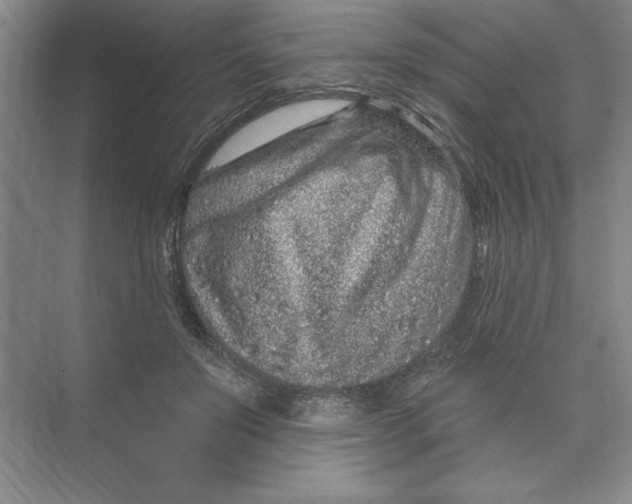 X0000074280503200609222247