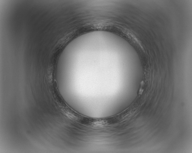 X0000074280505200609222247