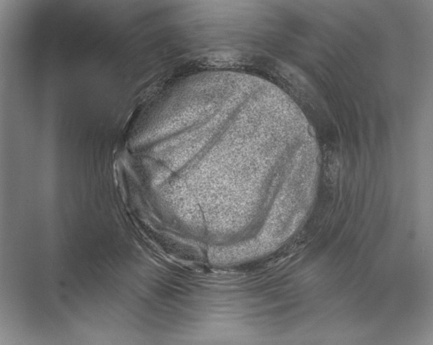 X0000074280507200609222247