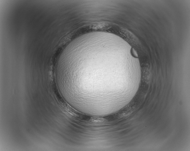 X0000074280510200609222247