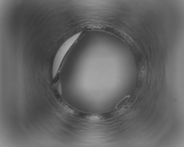 X0000074280513200609222247