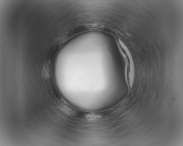 X0000074280515200609222246