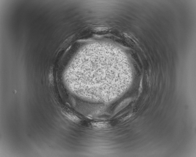 X0000074280516200609222246