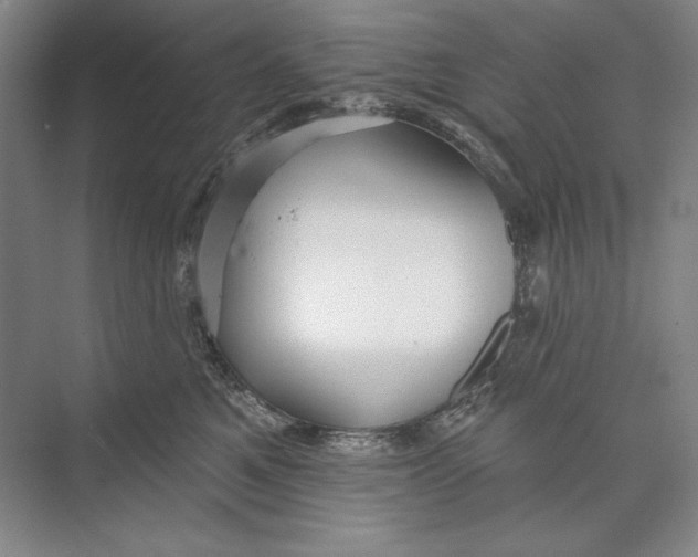 X0000074280521200609222246