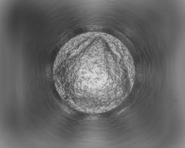 X0000074280523200609222246