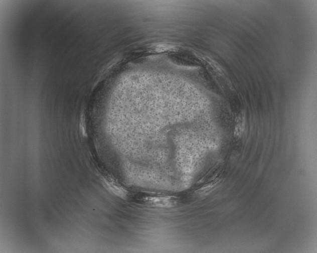 X0000074280524200609222246