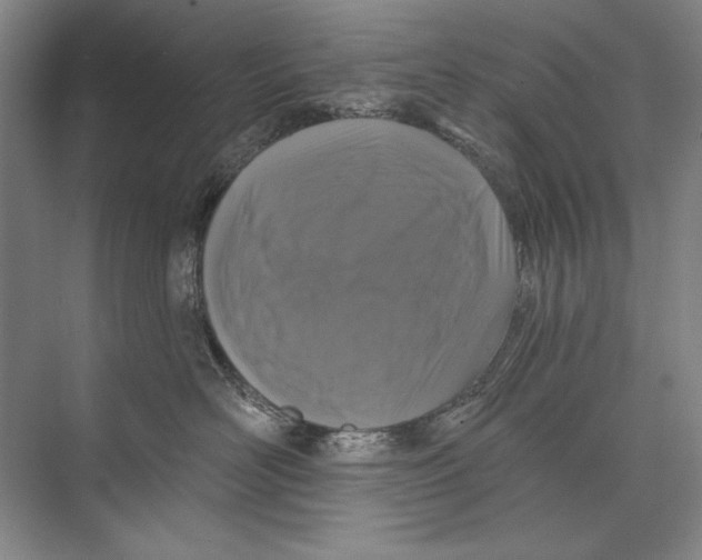X0000074280526200609222246