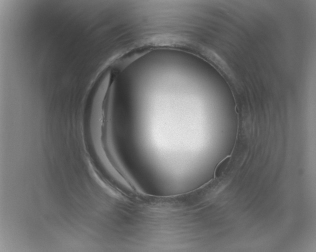 X0000074280530200609222245
