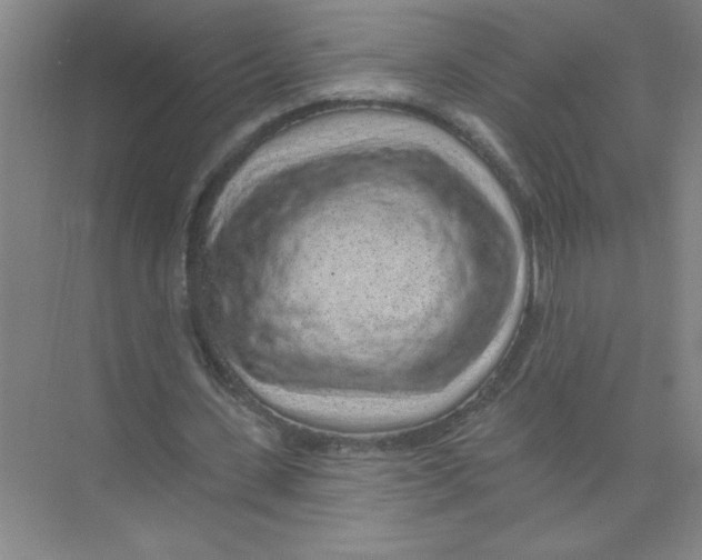 X0000074280531200609222246