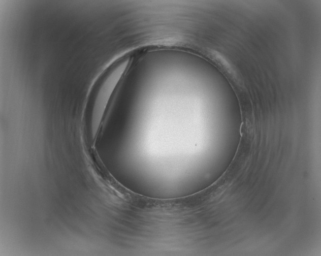 X0000074280532200609222246