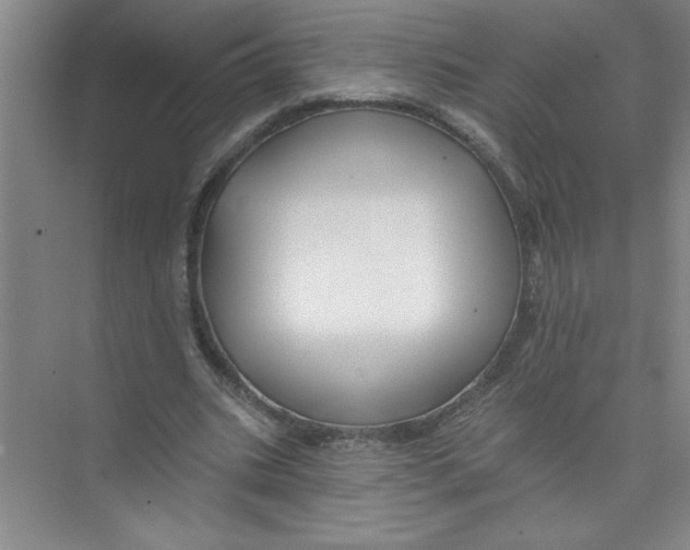 X0000074280535200609222246