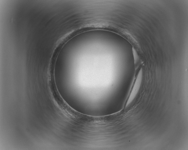 X0000074280536200609222246