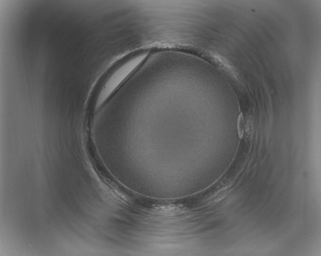 X0000074280540200609222246