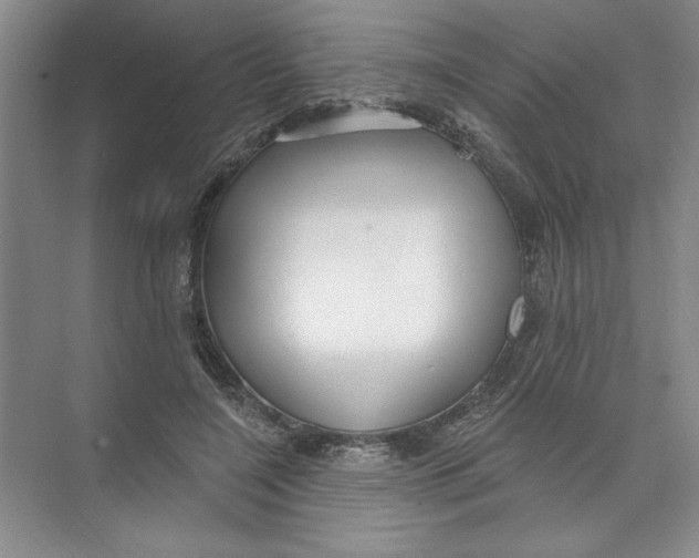 X0000074280548200609222246
