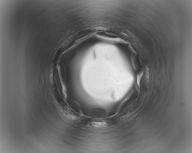 X0000074280552200609222246