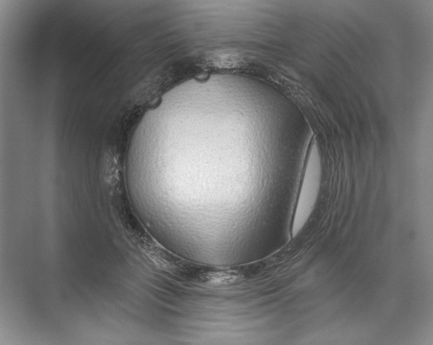 X0000074280555200609222246