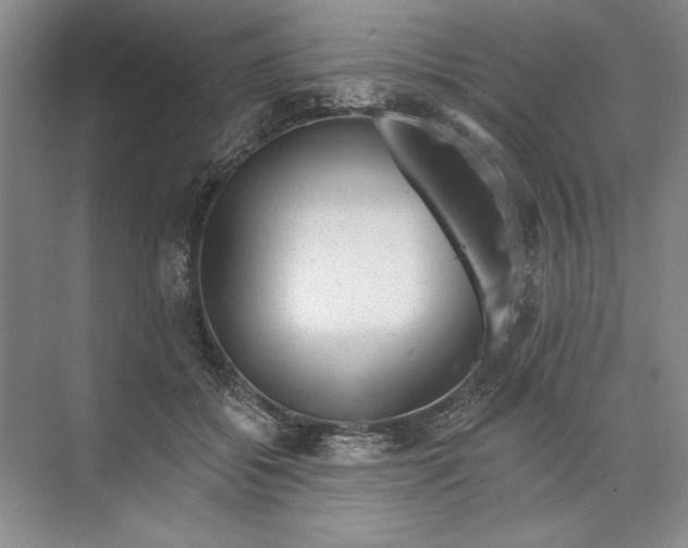 X0000074280556200609222246