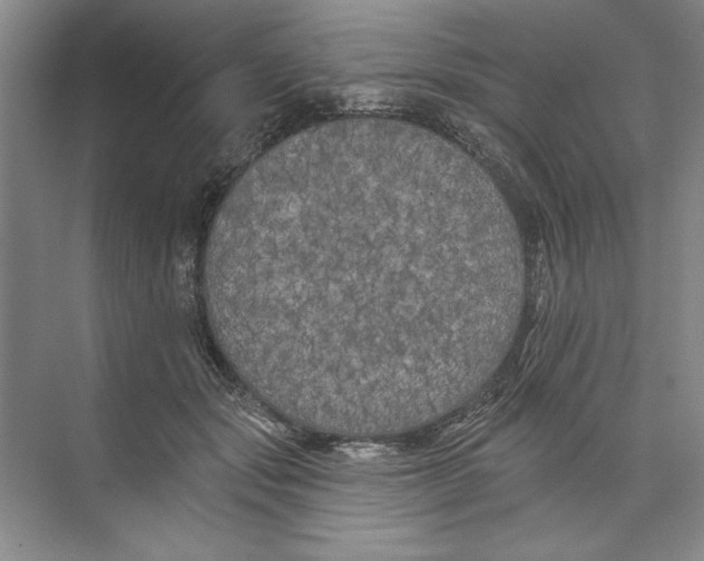 X0000074280557200609222246