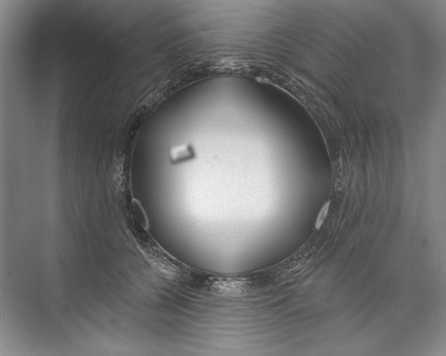X0000074280560200609222246