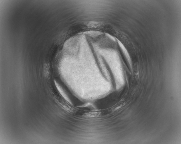 X0000074280563200609222246
